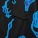 Tree frog blue