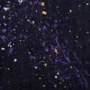Orion