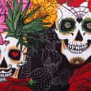 Skull black