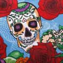 Skull blue