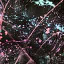 Dark kaleidoscope