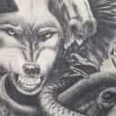 Animal