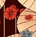 umbrella color