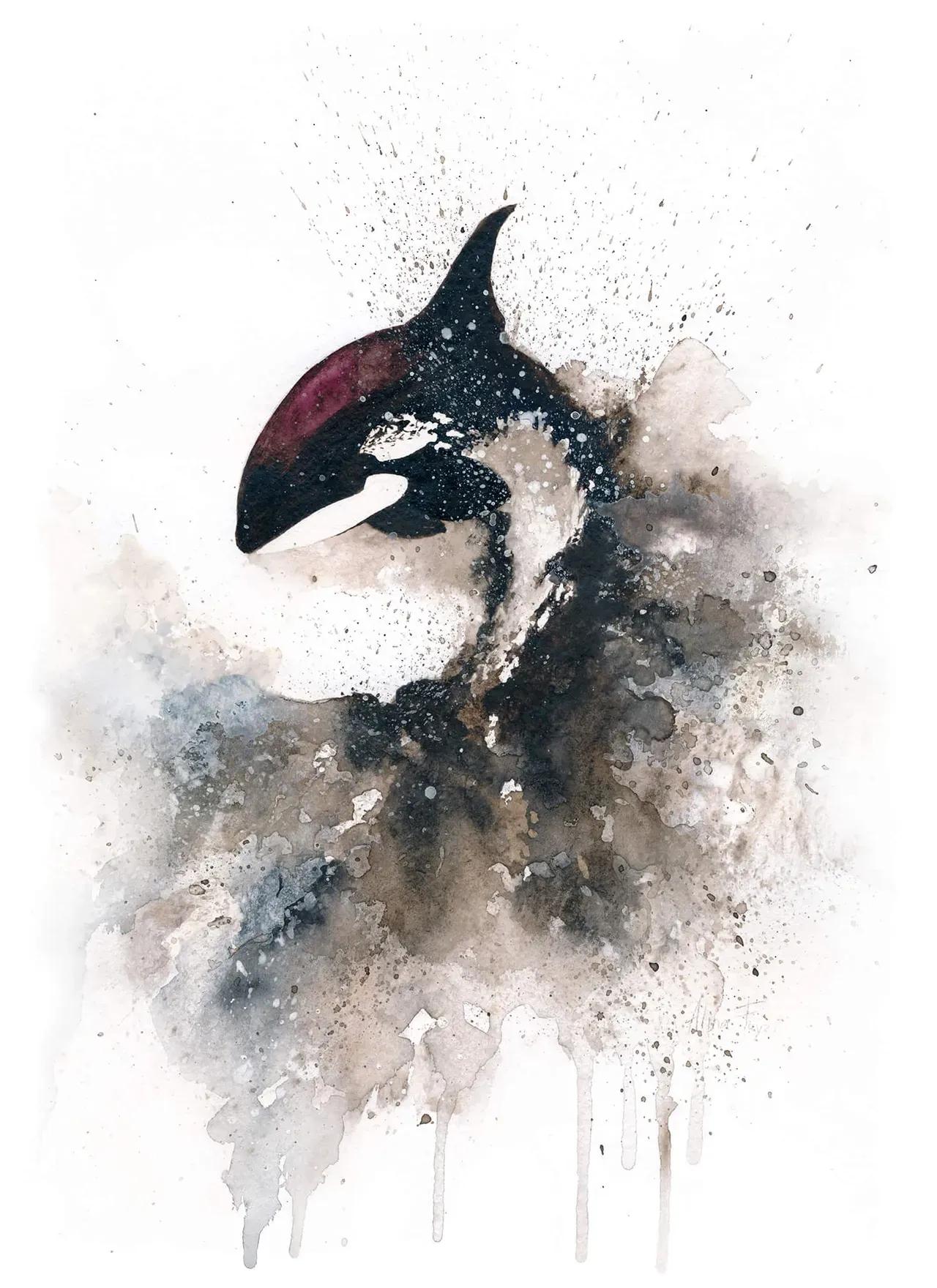 Jacket Watercolor killer whale red